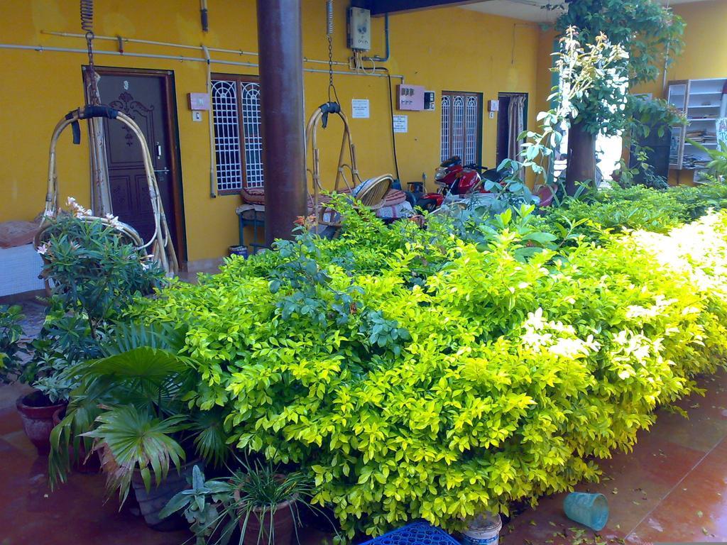 Archana Guest House River View Hampi Kültér fotó
